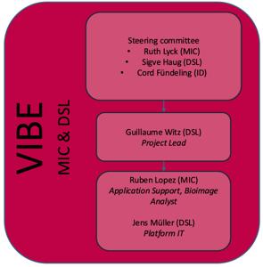 Organigram of the VIBE project which displays from top to down: the steering committee with MIC, DSL and ID members, the project lead, the project team